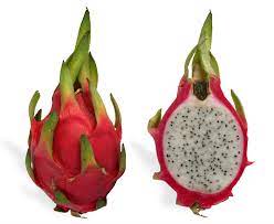 dragon fruit in telugu